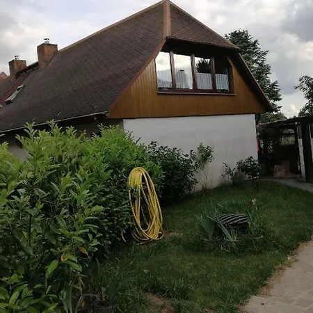 ferienwohnung-am-zoo Kritzmow Exterior foto