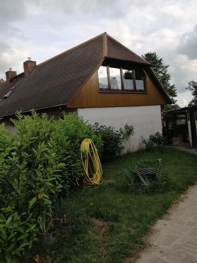 Ferienwohnung-am-zoo Apartment *
